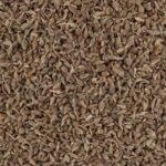 60861-anis-grains