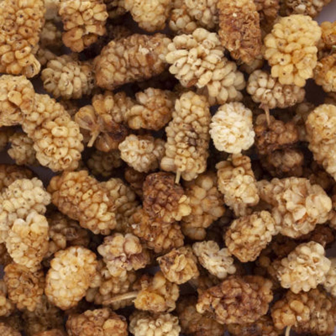 MULBERRIES BLANCHES SECHEES BIO ET EQUITABLES