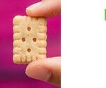 61556-sable-comte-graine-sesame-bio